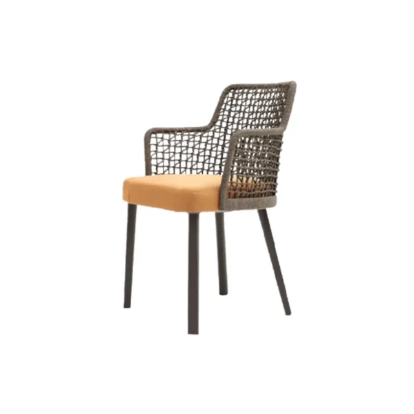 harvey-dining-chair-with-arm