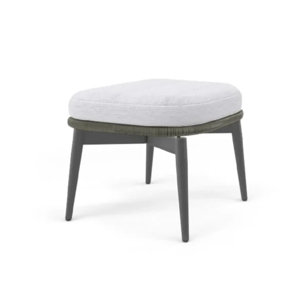 Leon-Ottoman