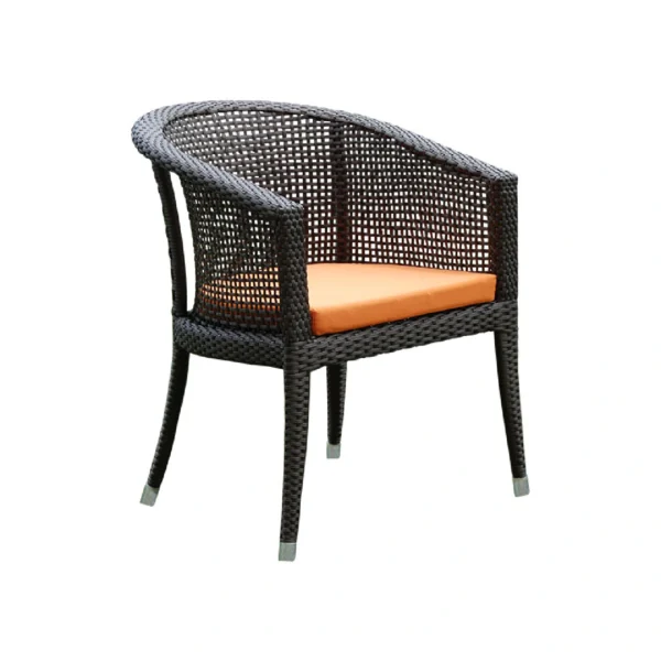Sunbry Chair (With Seat Cushion Only)